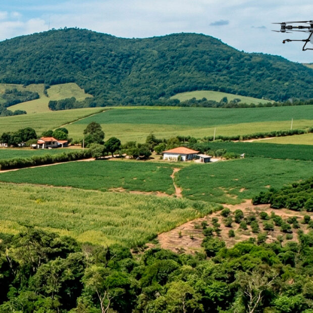 Foto: Divulgação/Seagri-DF