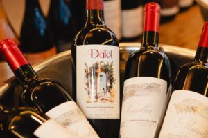 whatsapp image 2026 04 13 at 22.55.51