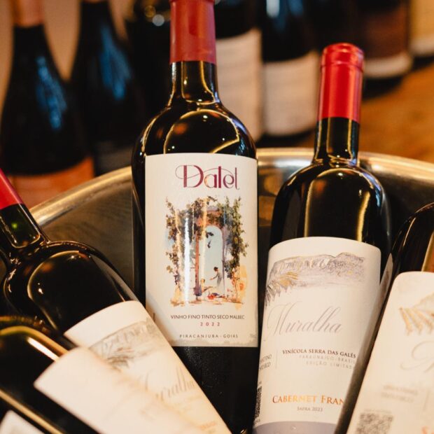 whatsapp image 2026 04 13 at 22.55.51