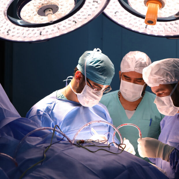 Foto: Mariana Raphael