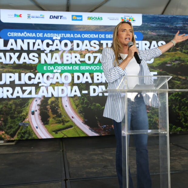 celina leao viadutos