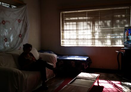 população que mora sozinha