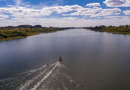 1dbf328b 57d5 41e2 83ef a9b92b1baede