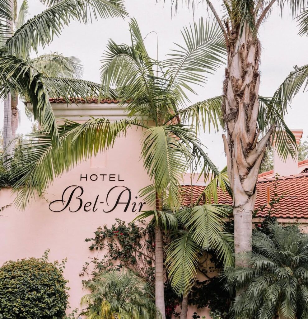 whatsapp image 2026 04 18 at 17.09.11