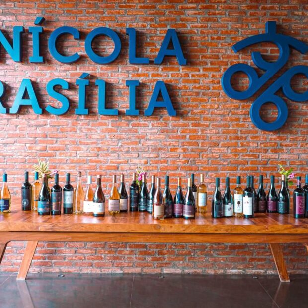 foto vinícola brasília ana carlina domingues