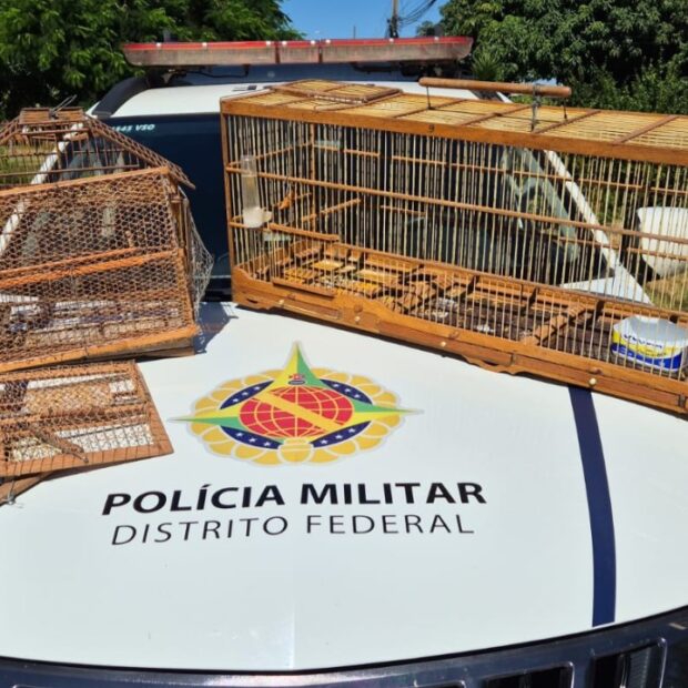 whatsapp image 2026 04 19 at 14.17.54