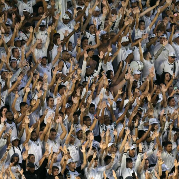 fbl bra santos neymar fans