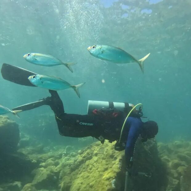 whatsapp image 2026 04 21 at 08.48.59