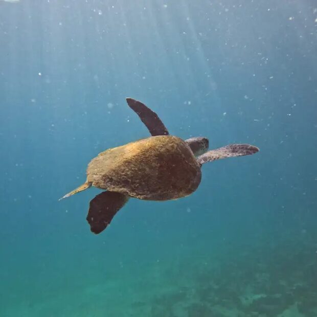 whatsapp image 2026 04 21 at 09.02.34