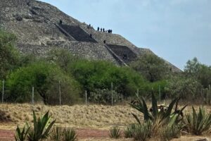 Foto: Divulgação/AFP
