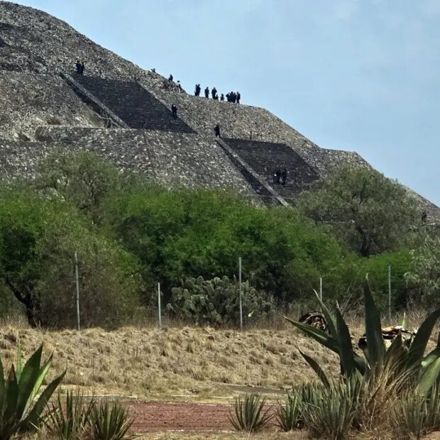 Foto: Divulgação/AFP