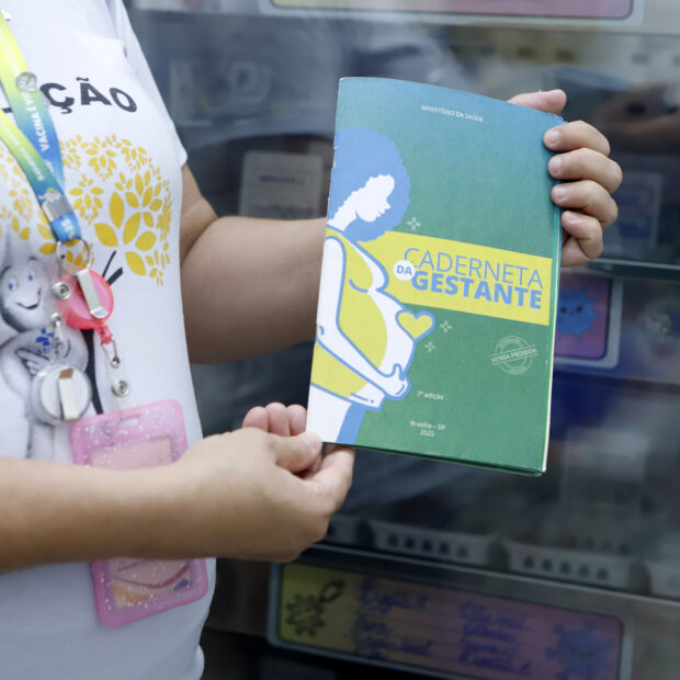 caderneta vacinação gestante