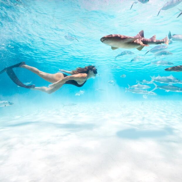 27101ed2 7154 4f19 8885 311bd3b19931