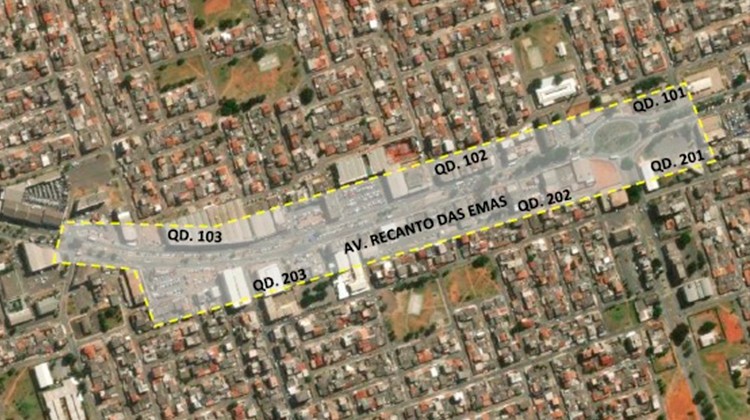 rcanro avenida
