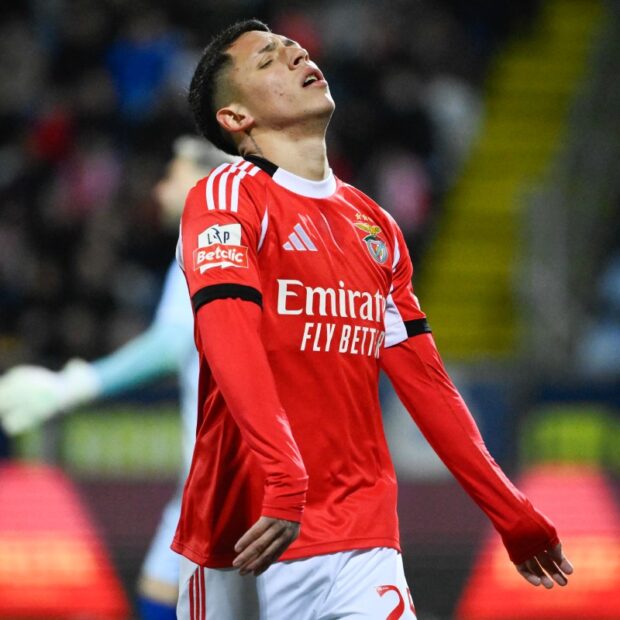 fbl por liga arouca benfica