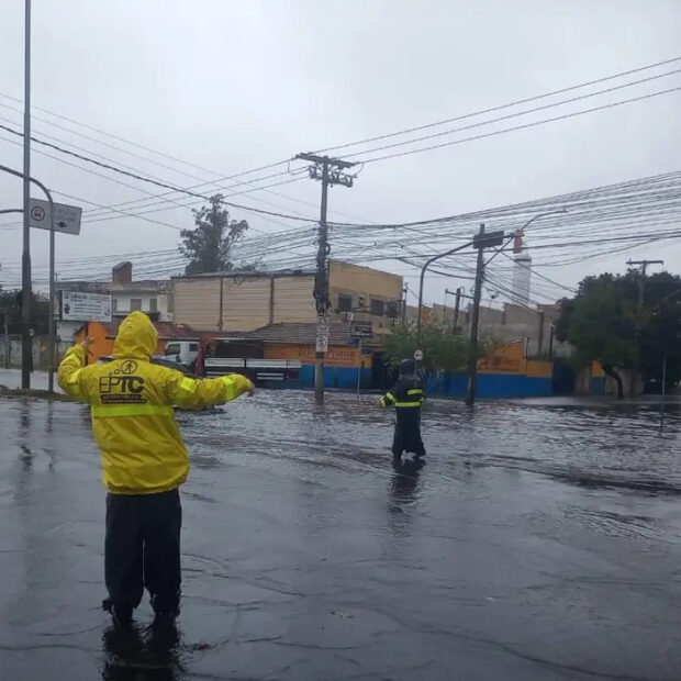 el niño