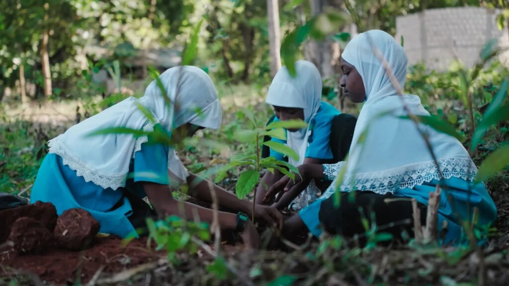 whatsapp image 2026 04 25 at 08.42.32 (2)