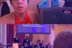 whatsapp image 2026 04 26 at 08.13.30