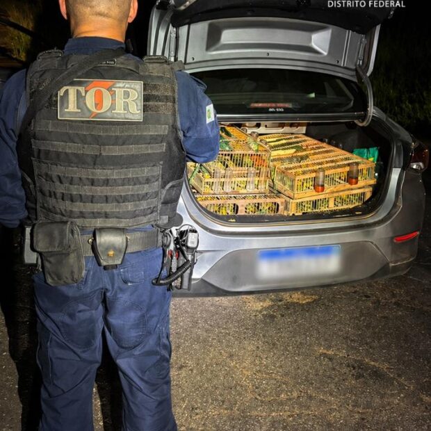 whatsapp image 2026 04 26 at 09.14.08