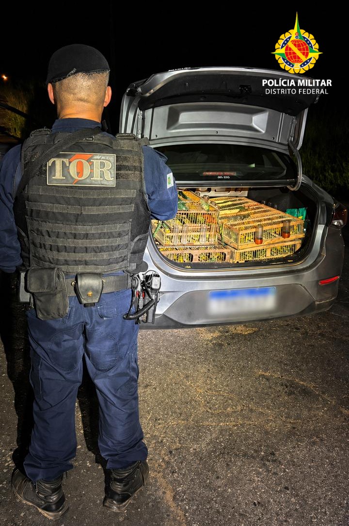 whatsapp image 2026 04 26 at 09.14.08