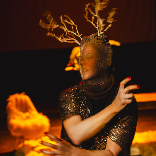 galhada foto diego bresani dsc1460 (1)