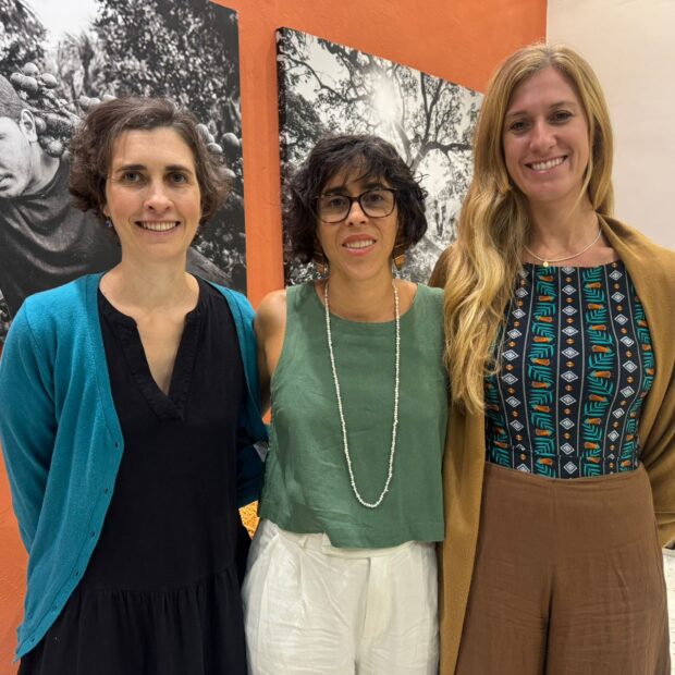 whatsapp image 2026 04 26 at 17.00.33