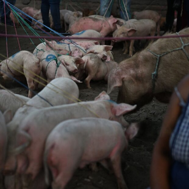 Foto: Marvin RECINOS / AFP