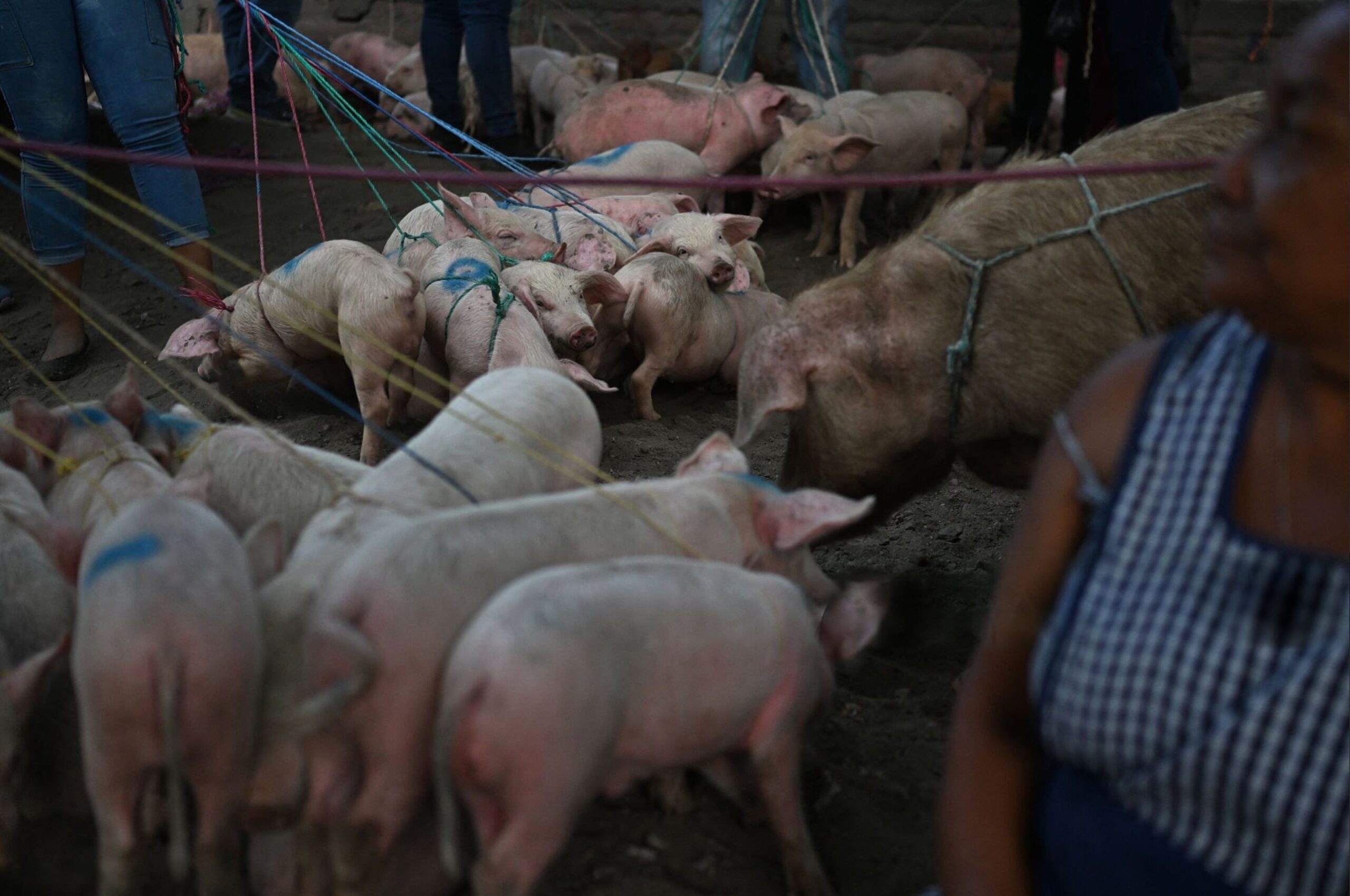 Foto: Marvin RECINOS / AFP