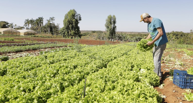 produtores rurais