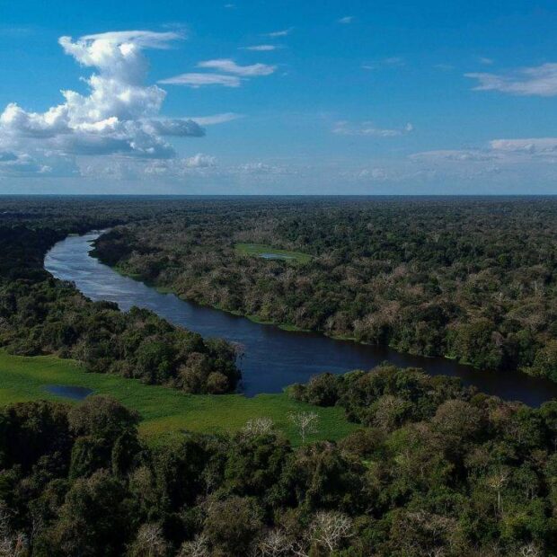 Foto: Mauro Pimentel/AFP