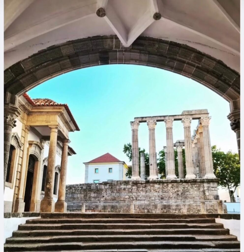 whatsapp image 2026 04 28 at 14.48.07