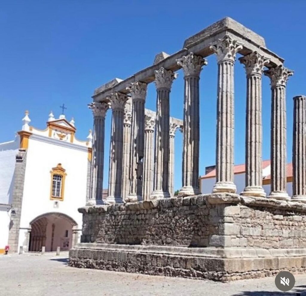 whatsapp image 2026 04 28 at 14.48.06