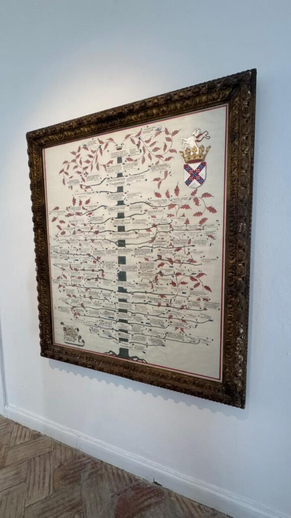 whatsapp image 2026 04 28 at 14.47.24