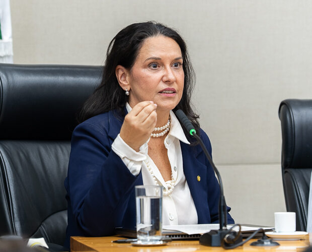 Foto: Felipe Ando/Agência CLDF