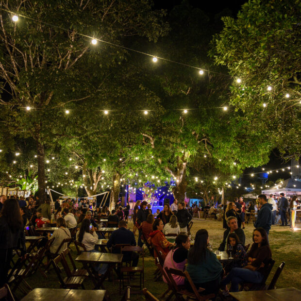 wine jazz piri foto betto jr1