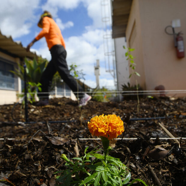 Foto: Matheus Oliveira/Agência Saúde DF