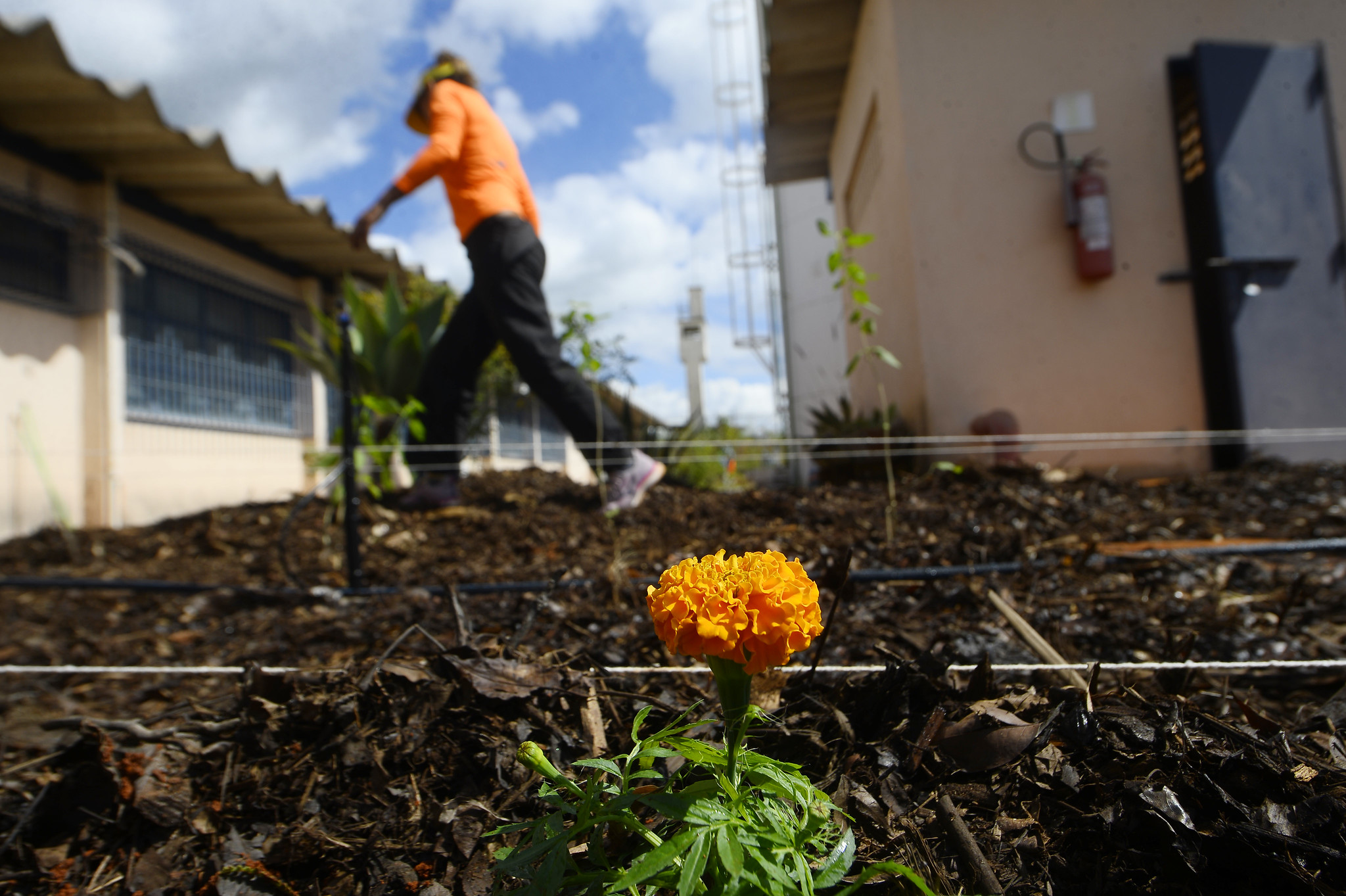 Foto: Matheus Oliveira/Agência Saúde DF