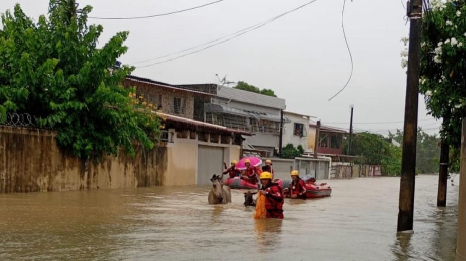 chuvas em pernambuco