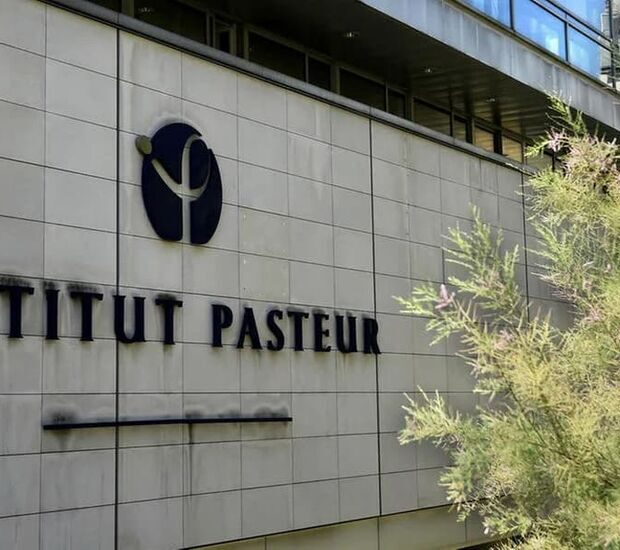 institut pasteur de são paulo