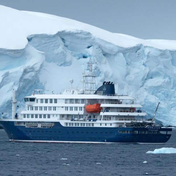 mv hondius