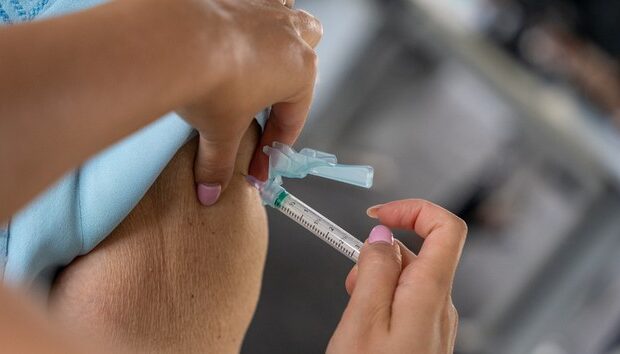 vacina contra chikungunya