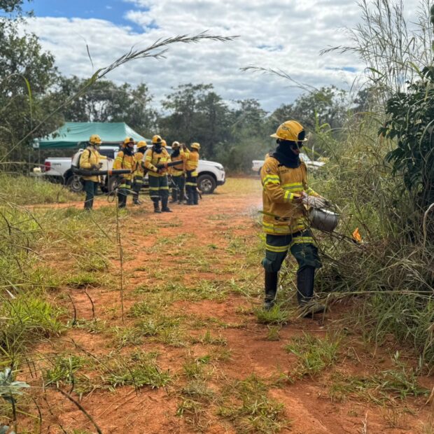 brasilia ambiental