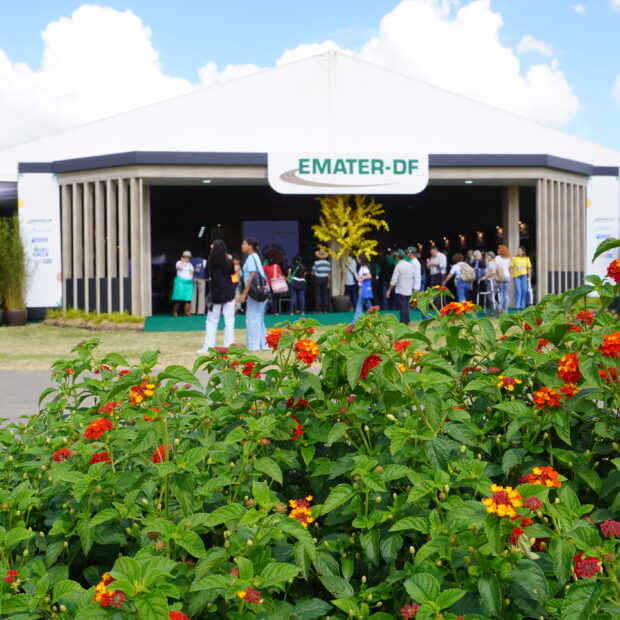 emater