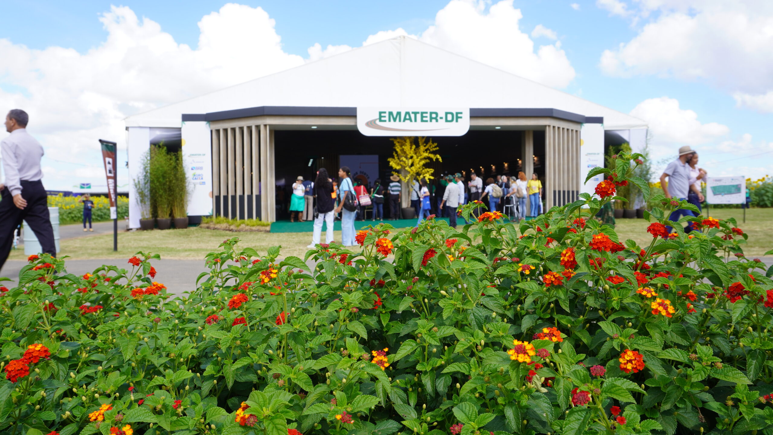 emater