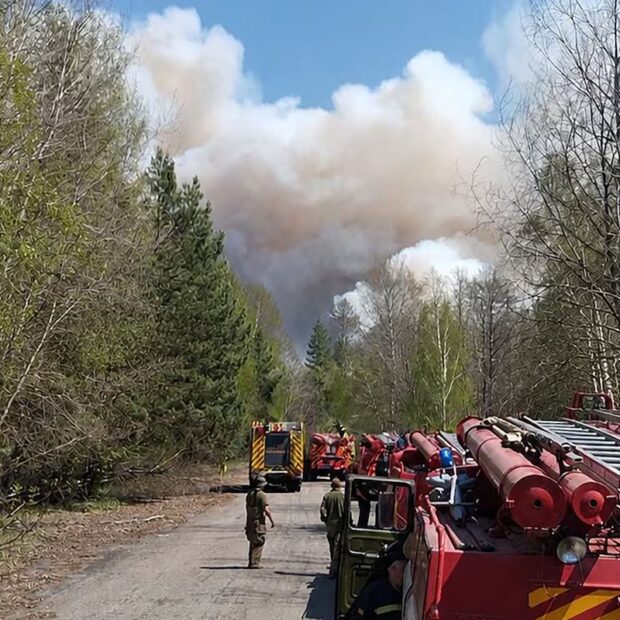 Foto: Handout/Ukrainian Chernobyl Radiation and Ecological Biosphere Reserve/AFP