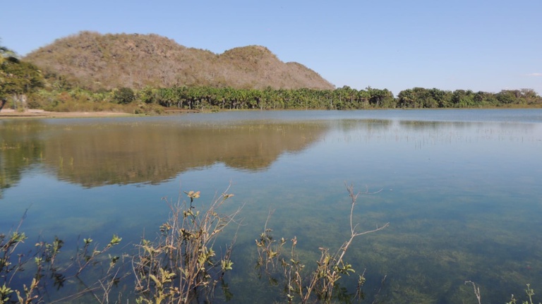 Lula amplia áreas protegidas no Pantanal para pesquisas científicas