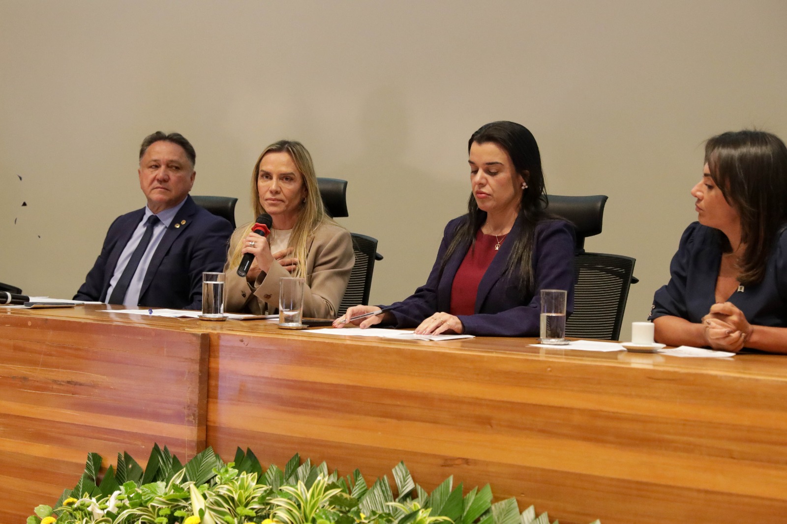 Celina Leão homenageia programa de proteção a mulheres vítimas de violência