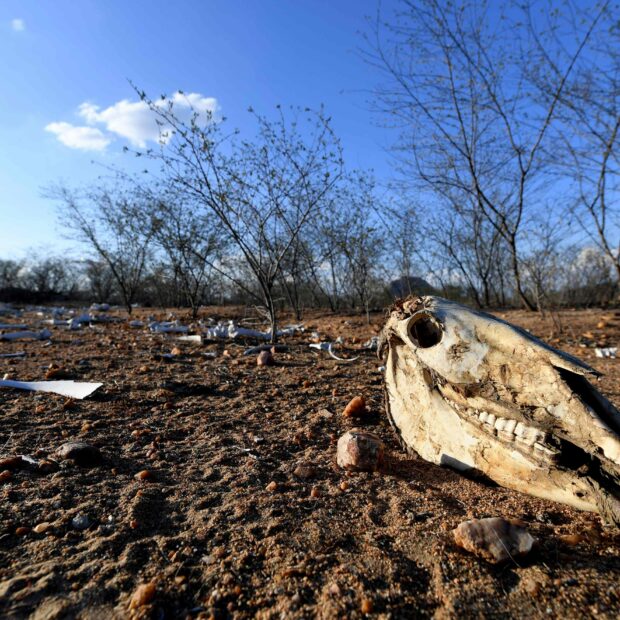 Foto: EVARISTO SA/AFP