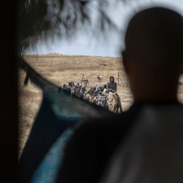 Foto: Ilia Yefimovich / AFP