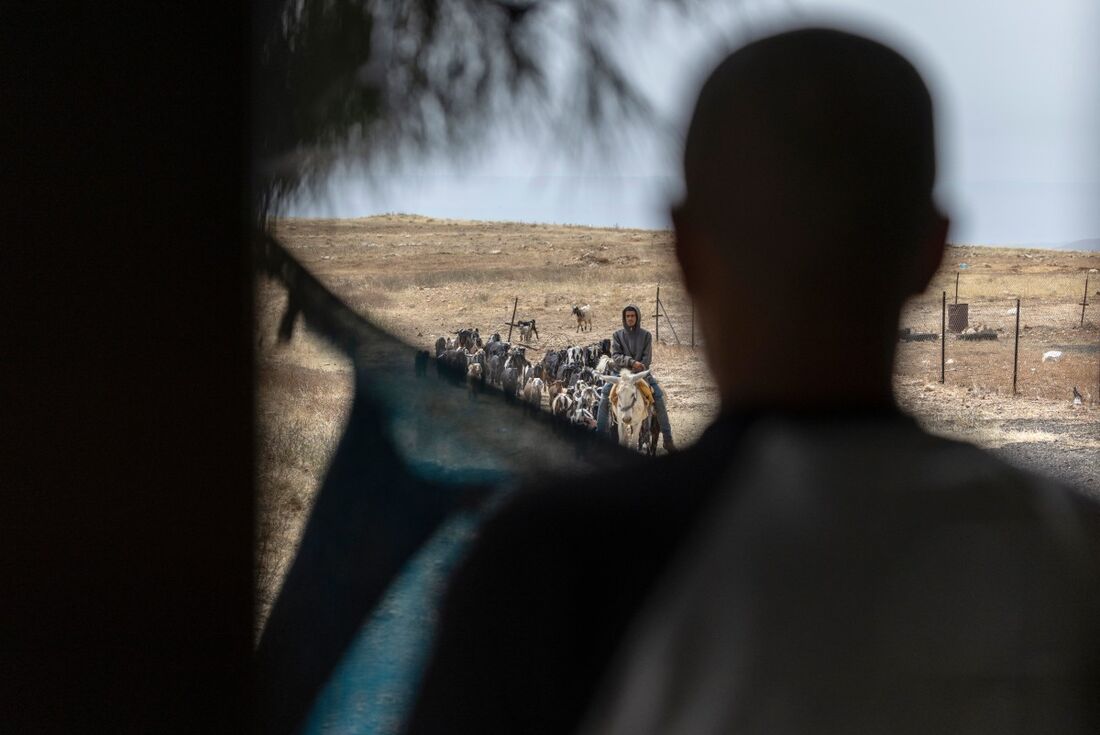 Foto: Ilia Yefimovich / AFP